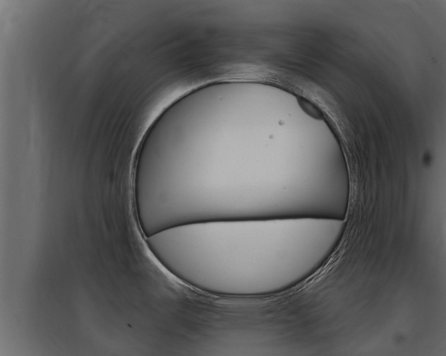 X0000097771487200803070848