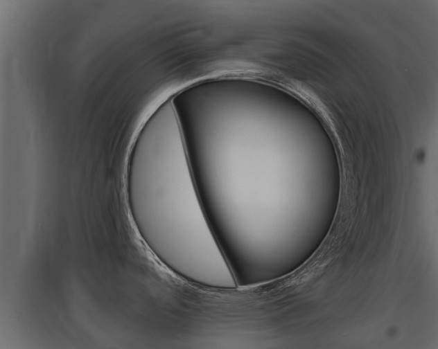 X0000097771488200803070848