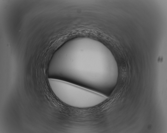 X0000097771489200803070848