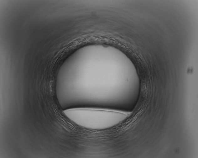 X0000097771490200803070848