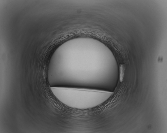 X0000097771491200803070848