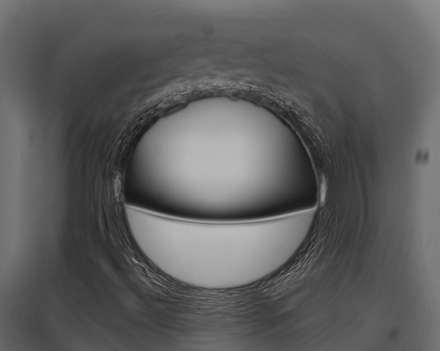 X0000097771492200803070848