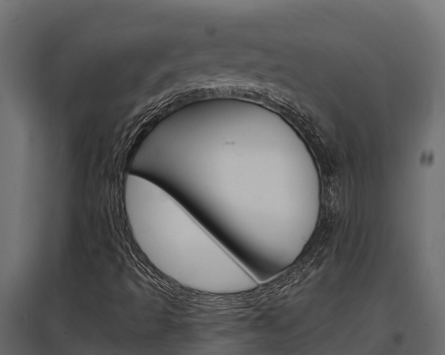 X0000097771493200803070848