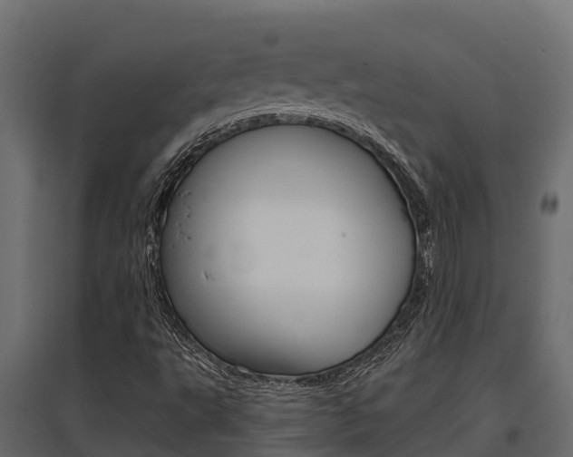 X0000097771495200803070848