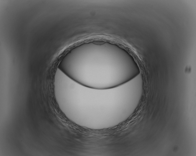 X0000097771496200803070848