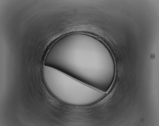 X0000097771497200803070848