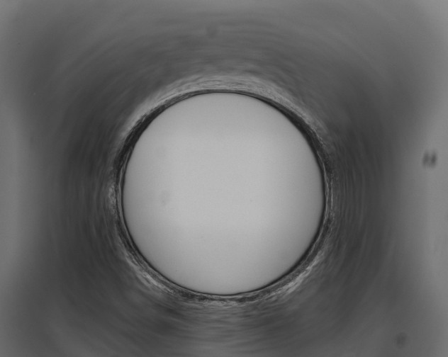 X0000097771498200803070848
