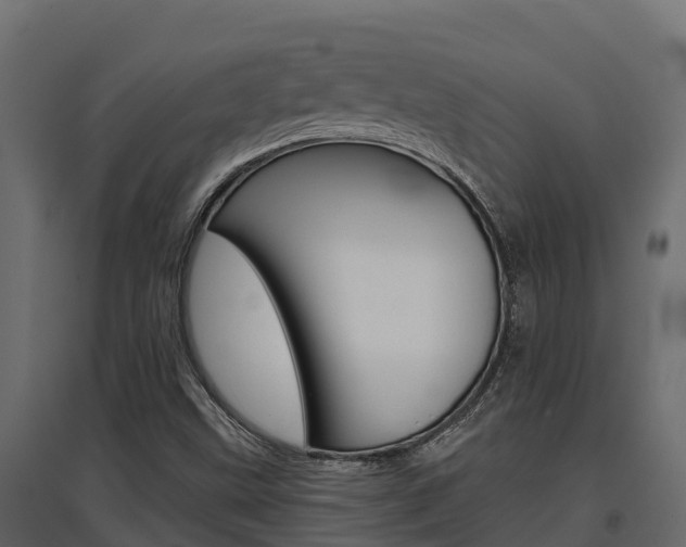 X0000097771499200803070848