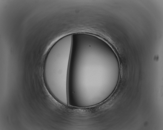 X0000097771500200803070848