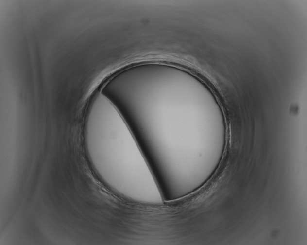 X0000097771501200803070848