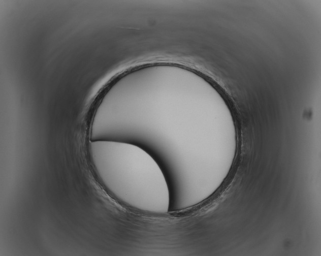 X0000097771502200803070848