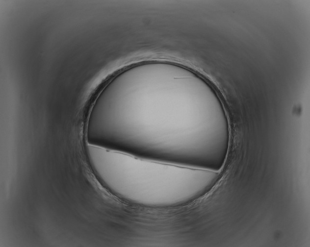 X0000097771503200803070848