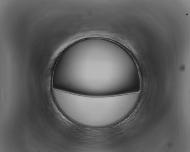 X0000097771504200803070848