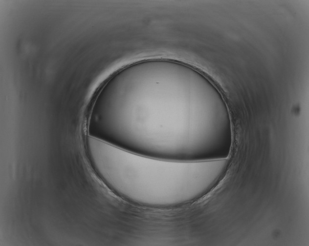 X0000097771510200803070848