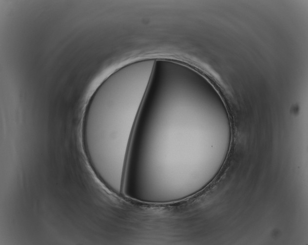 X0000097771512200803070848