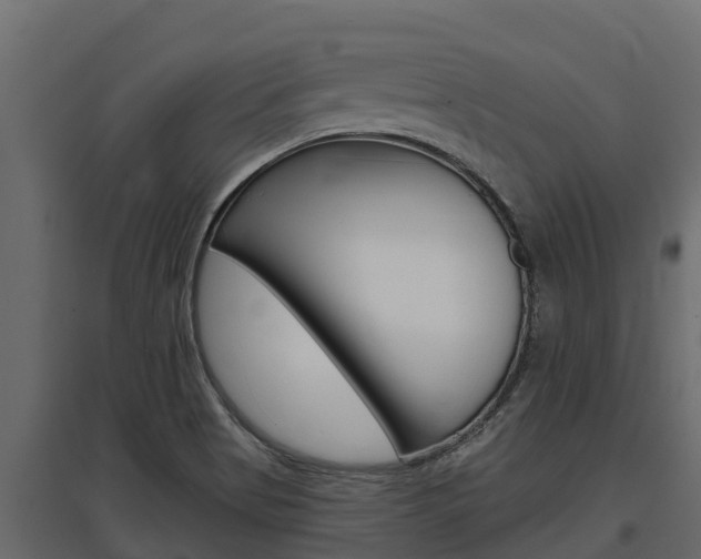 X0000097771513200803070848