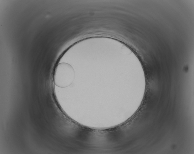X0000097771514200803070848