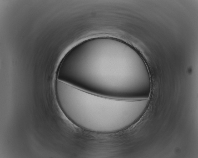 X0000097771516200803070848