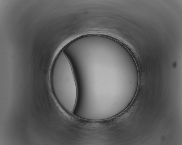 X0000097771517200803070848