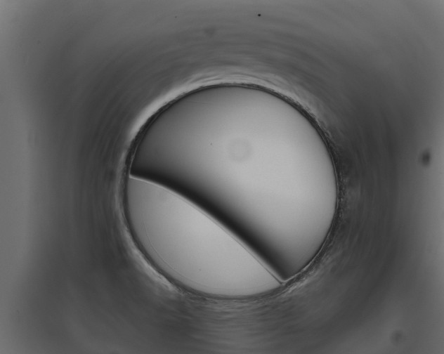 X0000097771518200803070848