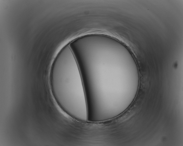 X0000097771519200803070848