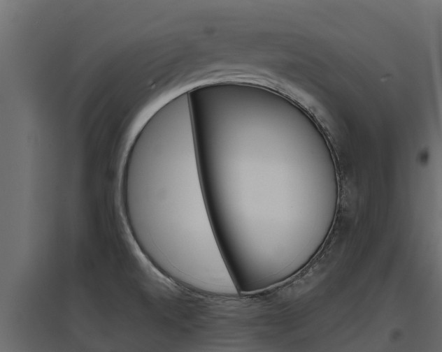 X0000097771520200803070848