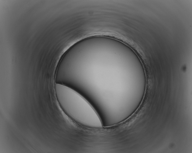 X0000097771521200803070848