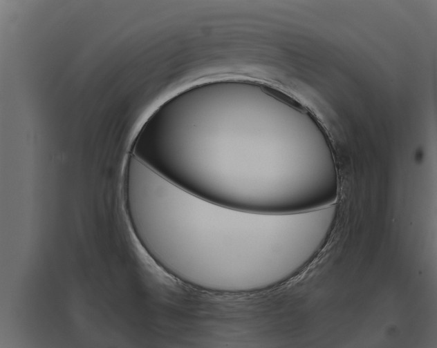 X0000097771524200803070848