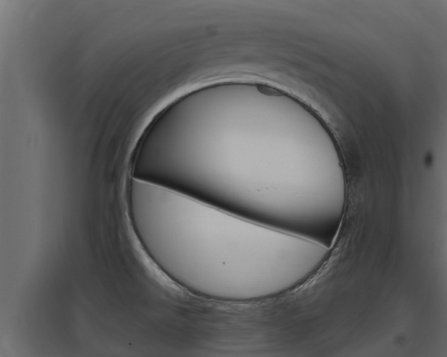 X0000097771526200803070848