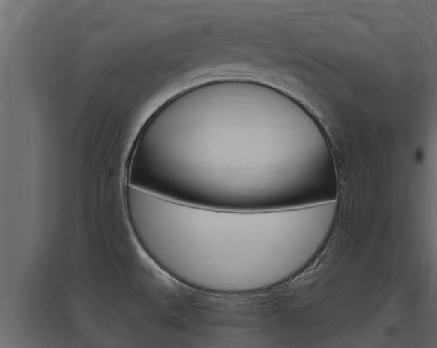 X0000097771527200803070848