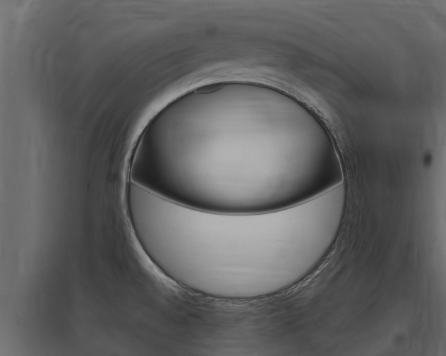 X0000097771528200803070848