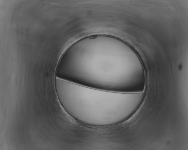 X0000097771529200803070848
