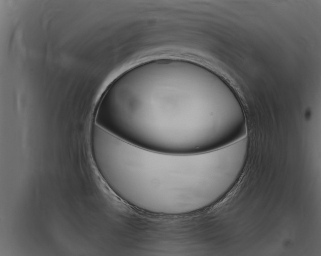 X0000097771530200803070848
