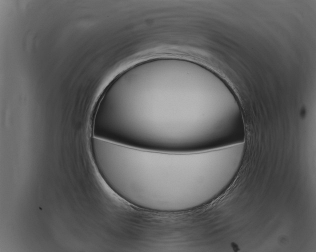 X0000097771531200803070848