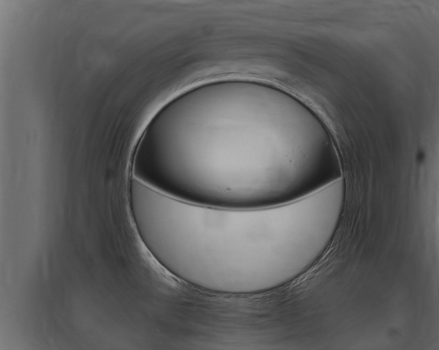 X0000097771532200803070848