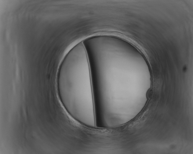X0000097771533200803070848