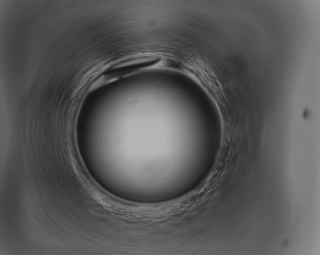 X0000097770001200803071328