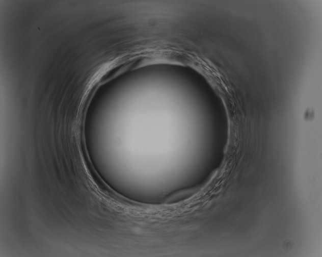 X0000097770003200803071328