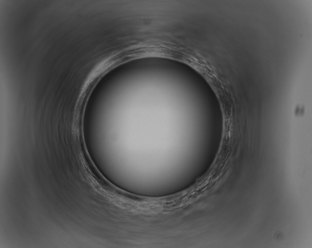 X0000097770004200803071328