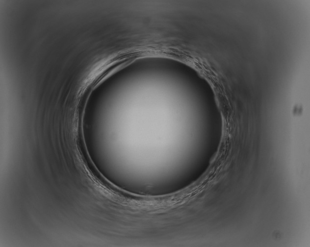 X0000097770005200803071328