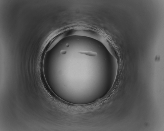 X0000097770007200803071328