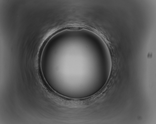 X0000097770008200803071328