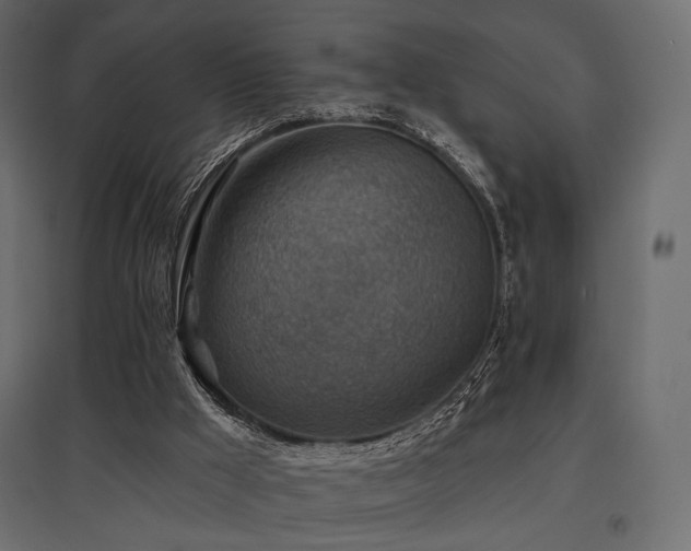 X0000097770009200803071328