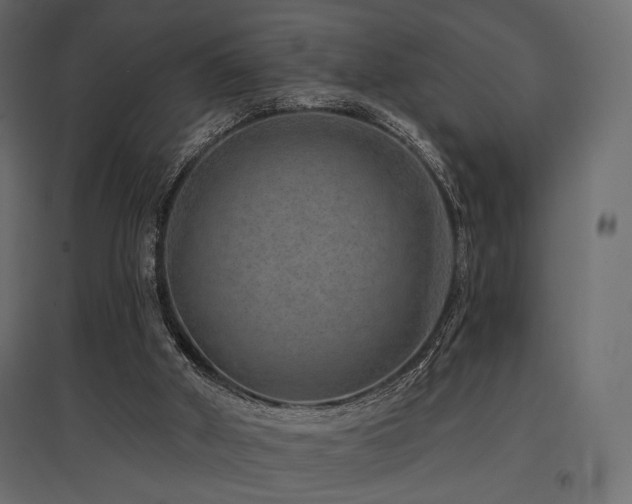 X0000097770010200803071328