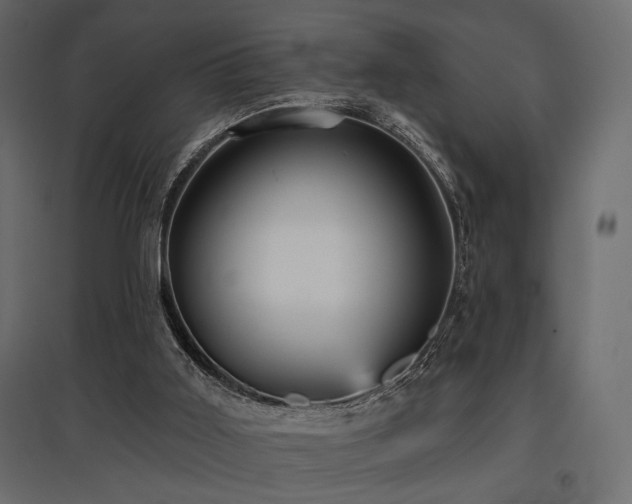 X0000097770011200803071328