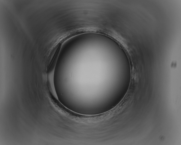 X0000097770013200803071328