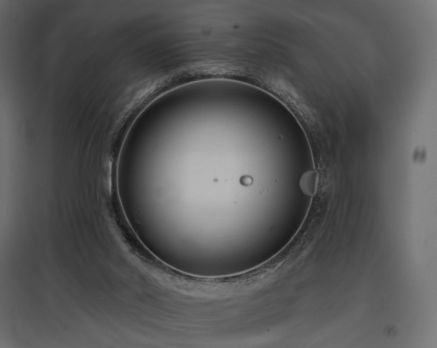 X0000097770014200803071328