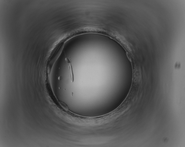 X0000097770015200803071328
