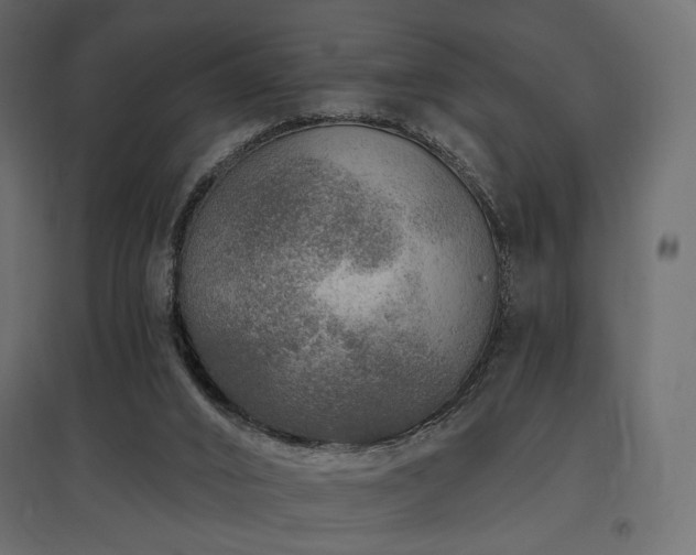 X0000097770016200803071328