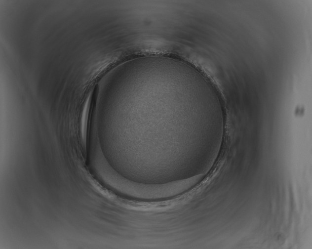 X0000097770017200803071328